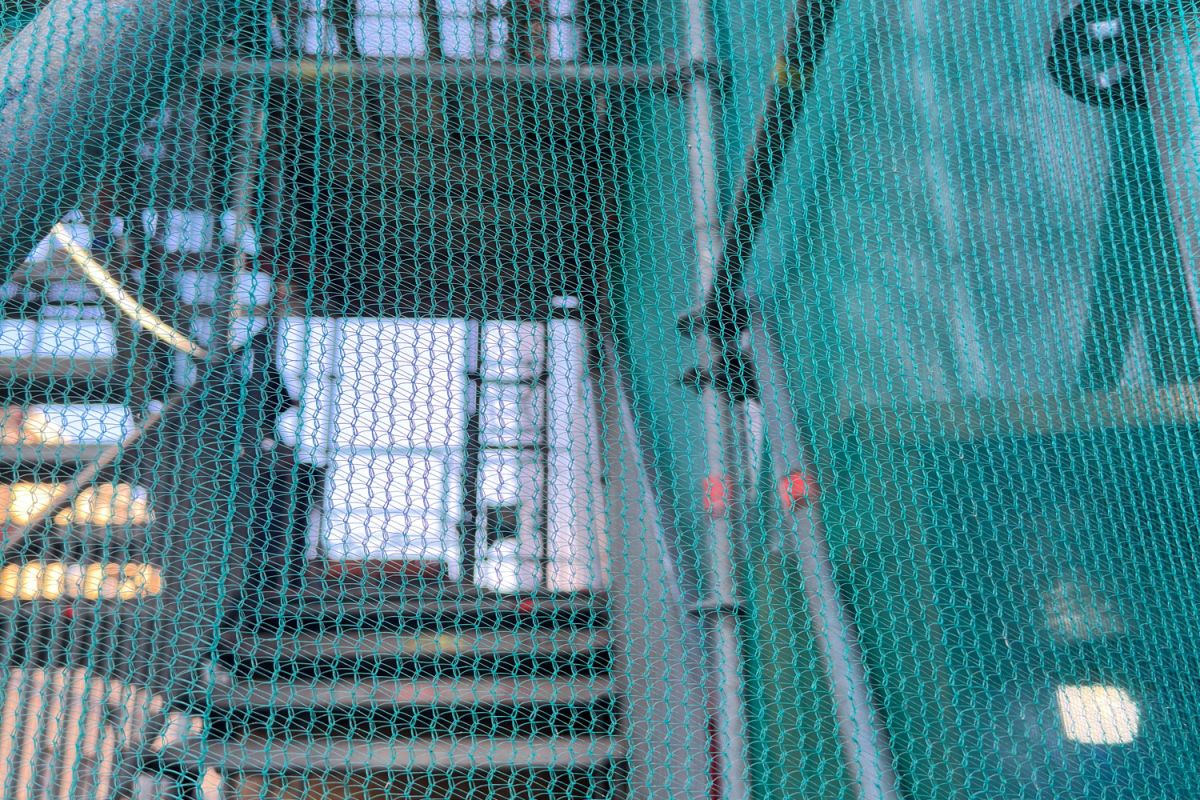 Debris Netting
