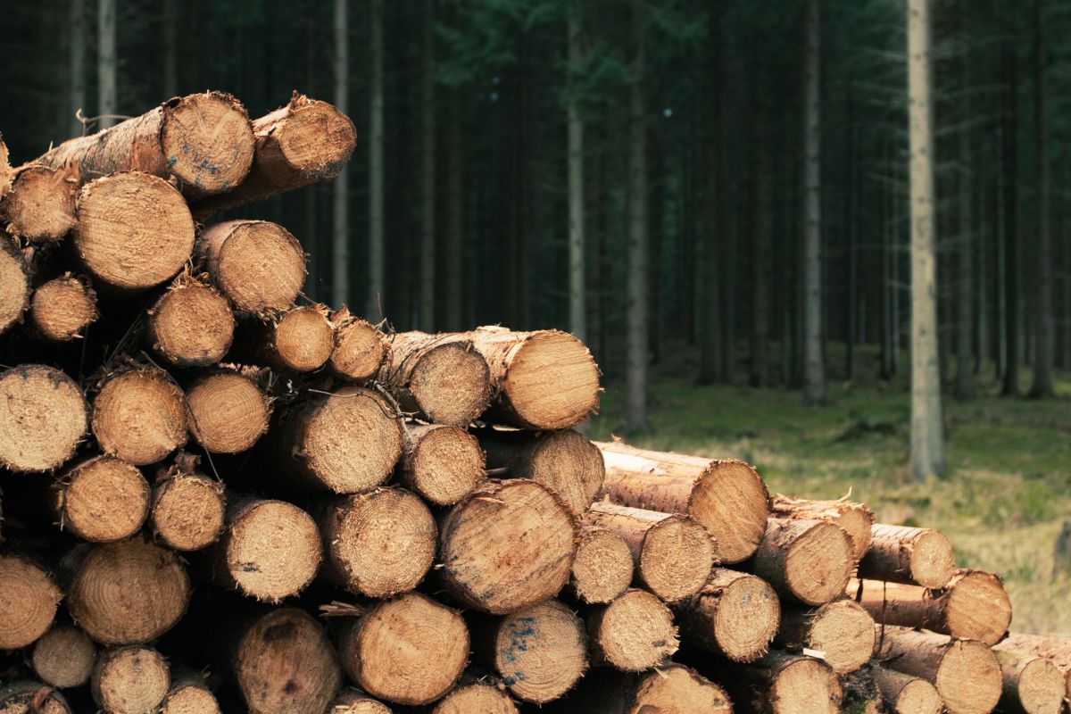 Forest Residuals